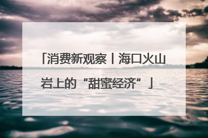 消费新观察丨海口火山岩上的“甜蜜经济”
