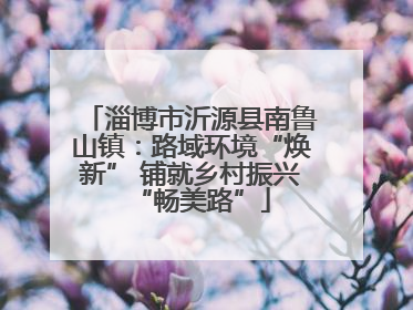 淄博市沂源县南鲁山镇：路域环境“焕新” 铺就乡村振兴“畅美路”