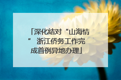 深化结对“山海情” 浙江侨务工作完成首例异地办理