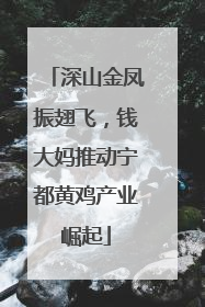 深山金凤振翅飞，钱大妈推动宁都黄鸡产业崛起