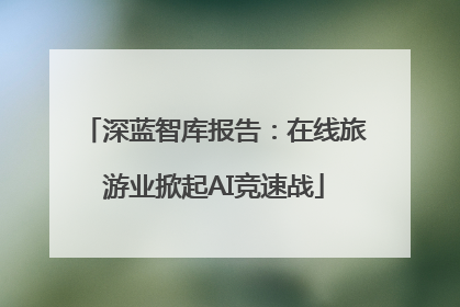 深蓝智库报告：在线旅游业掀起AI竞速战