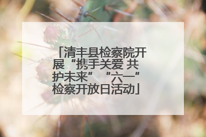 清丰县检察院开展“携手关爱 共护未来”“六一”检察开放日活动