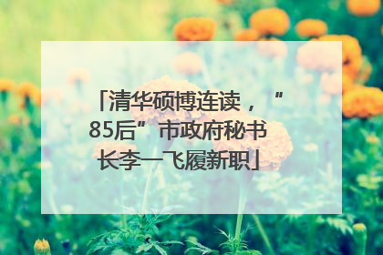 清华硕博连读，“85后”市政府秘书长李一飞履新职