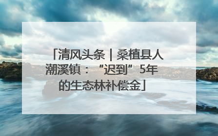 清风头条｜桑植县人潮溪镇：“迟到”5年的生态林补偿金
