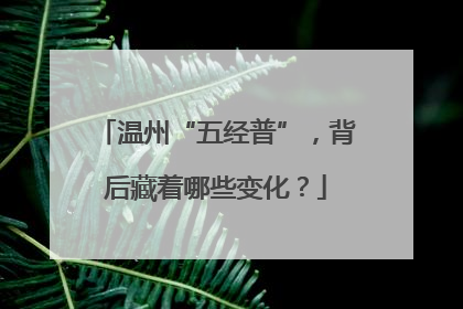 温州“五经普”，背后藏着哪些变化？