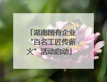湖南国有企业“百名工匠传薪火”活动启动