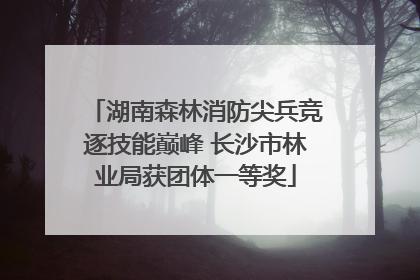 湖南森林消防尖兵竞逐技能巅峰 长沙市林业局获团体一等奖