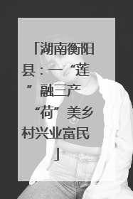 湖南衡阳县：一“莲”融三产 “荷”美乡村兴业富民