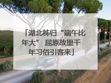 湖北秭归“端午比年大” 屈原故里千年习俗引客来