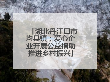 湖北丹江口市均县镇：爱心企业开展公益捐助推进乡村振兴