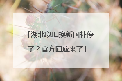 湖北以旧换新国补停了？官方回应来了