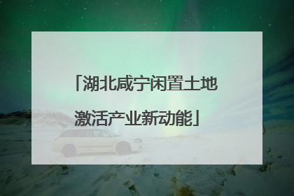 湖北咸宁闲置土地激活产业新动能