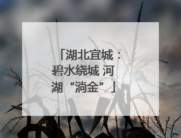 湖北宜城：碧水绕城 河湖“淌金”
