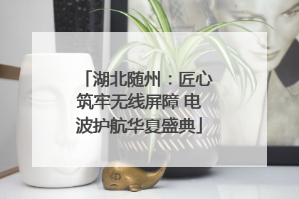 湖北随州：匠心筑牢无线屏障 电波护航华夏盛典
