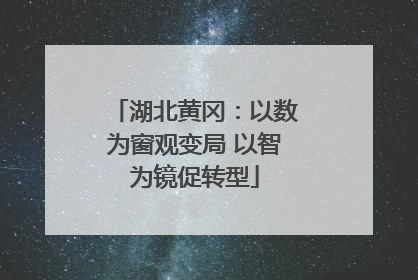 湖北黄冈：以数为窗观变局 以智为镜促转型