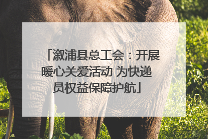 溆浦县总工会：开展暖心关爱活动 为快递员权益保障护航
