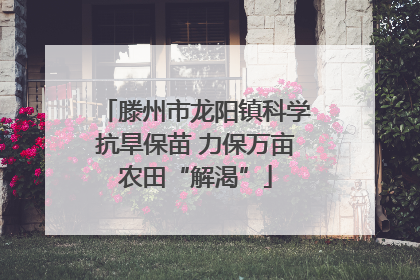 滕州市龙阳镇科学抗旱保苗 力保万亩农田“解渴”