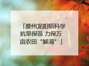 滕州龙阳镇科学抗旱保苗 力保万亩农田“解渴”