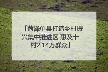 菏泽单县打造乡村振兴集中推进区 惠及十村2.14万群众