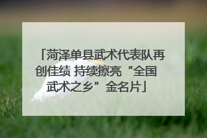 菏泽单县武术代表队再创佳绩 持续擦亮“全国武术之乡”金名片