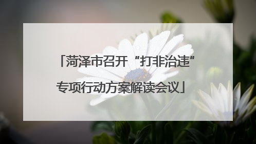 菏泽市召开“打非治违”专项行动方案解读会议