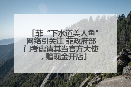 菲“下水道美人鱼”网络引关注 菲政府部门考虑请其当官方大使，赠现金开店