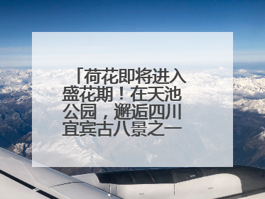 荷花即将进入盛花期！在天池公园，邂逅四川宜宾古八景之一“天池晚照”