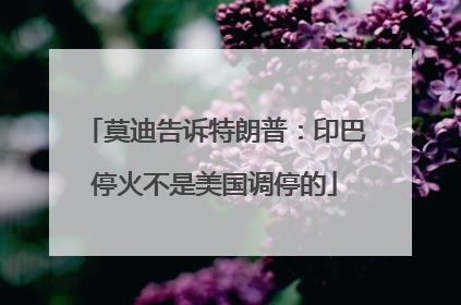 莫迪告诉特朗普：印巴停火不是美国调停的