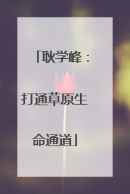 耿学峰：打通草原生命通道
