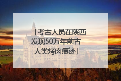 考古人员在陕西发现50万年前古人类烤肉痕迹