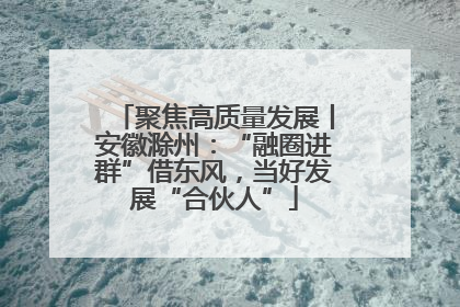 聚焦高质量发展丨安徽滁州：“融圈进群”借东风，当好发展“合伙人”