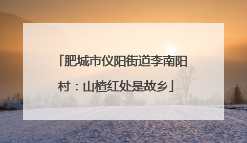 肥城市仪阳街道李南阳村：山楂红处是故乡