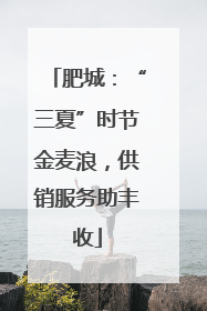 肥城：“三夏”时节金麦浪，供销服务助丰收