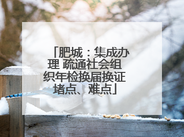 肥城：集成办理 疏通社会组织年检换届换证堵点、难点