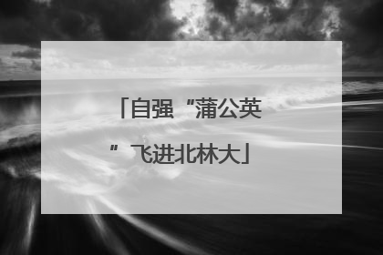 自强“蒲公英”飞进北林大
