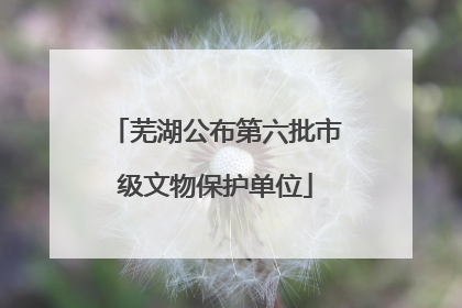 芜湖公布第六批市级文物保护单位