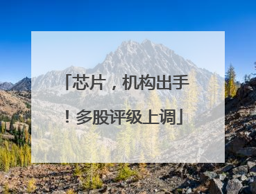 芯片，机构出手！多股评级上调