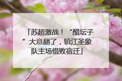 苏超激战！“醋坛子”大意翻了，镇江圣象队主场惜败宿迁