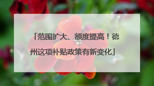 范围扩大、额度提高！德州这项补贴政策有新变化