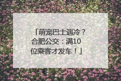 萌宠巴士遇冷？合肥公交：满10位乘客才发车！
