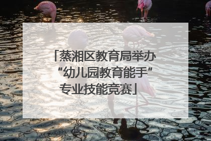 蒸湘区教育局举办“幼儿园教育能手”专业技能竞赛