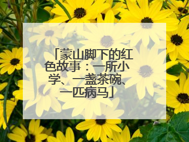 蒙山脚下的红色故事：一所小学、一盏茶碗、一匹病马
