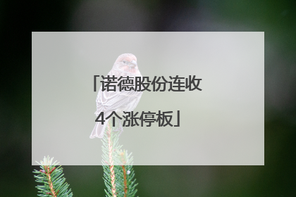 诺德股份连收4个涨停板