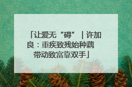 让爱无“碍”｜许加良：重疾致残始种藕 带动致富靠双手