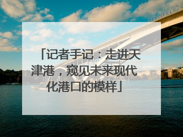 记者手记：走进天津港，窥见未来现代化港口的模样