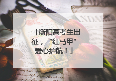 衡阳高考生出征，“红马甲”爱心护航！