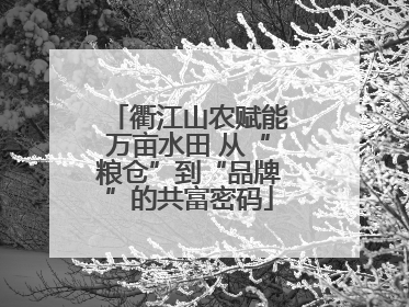 衢江山农赋能万亩水田 从“粮仓”到“品牌”的共富密码