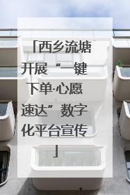 西乡流塘开展“一键下单·心愿速达”数字化平台宣传
