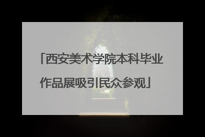西安美术学院本科毕业作品展吸引民众参观