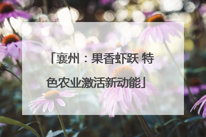 襄州：果香虾跃 特色农业激活新动能
